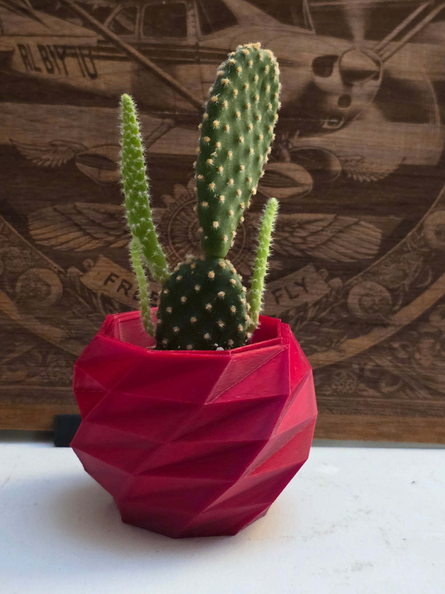 Geometric 3D Printed Planter β Modern Mini Pot for Succulents & Cactus | PLA Eco-Friendly | Bold Colors. Plants it's Not included.