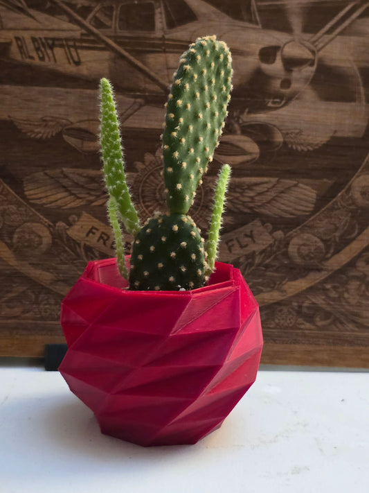 Geometric 3D Printed Planter – Modern Mini Pot for Succulents & Cactus | PLA Eco-Friendly | Bold Colors. Plants it's Not included.
