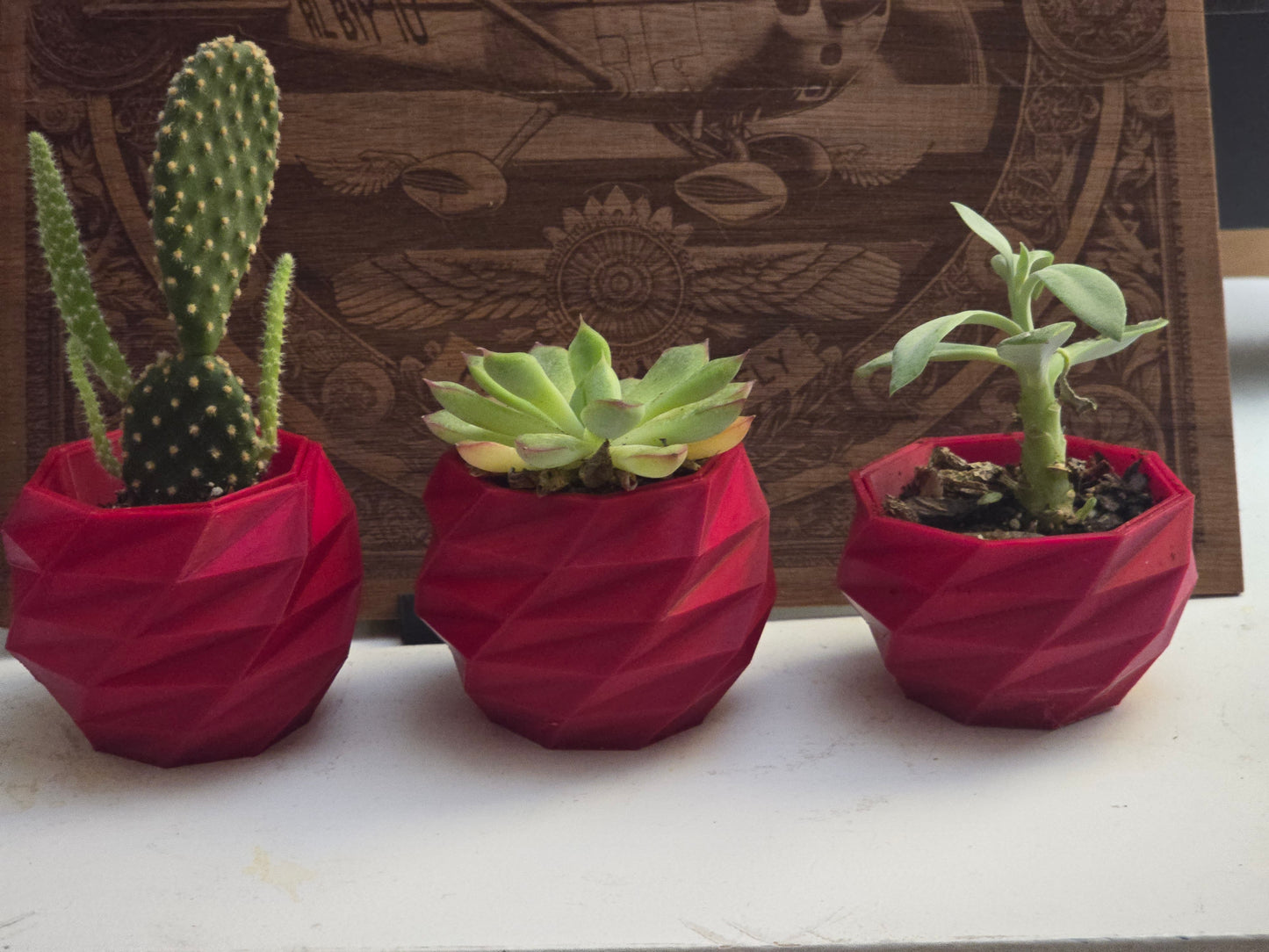Geometric 3D Printed Planter – Modern Mini Pot for Succulents & Cactus | PLA Eco-Friendly | Bold Colors. Plants it's Not included.