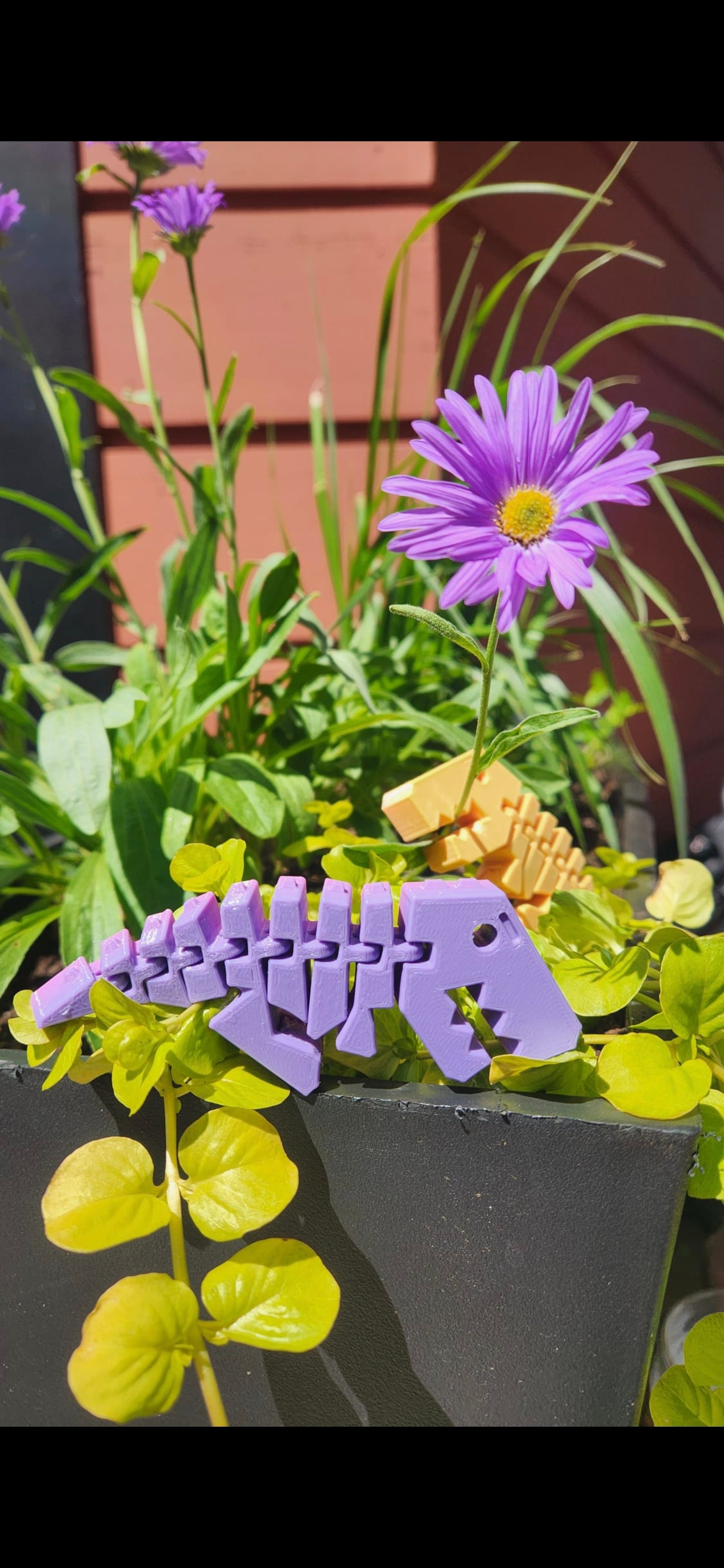 🦖 Flexi Rex – Articulated 3D Printed Dinosaur Toy