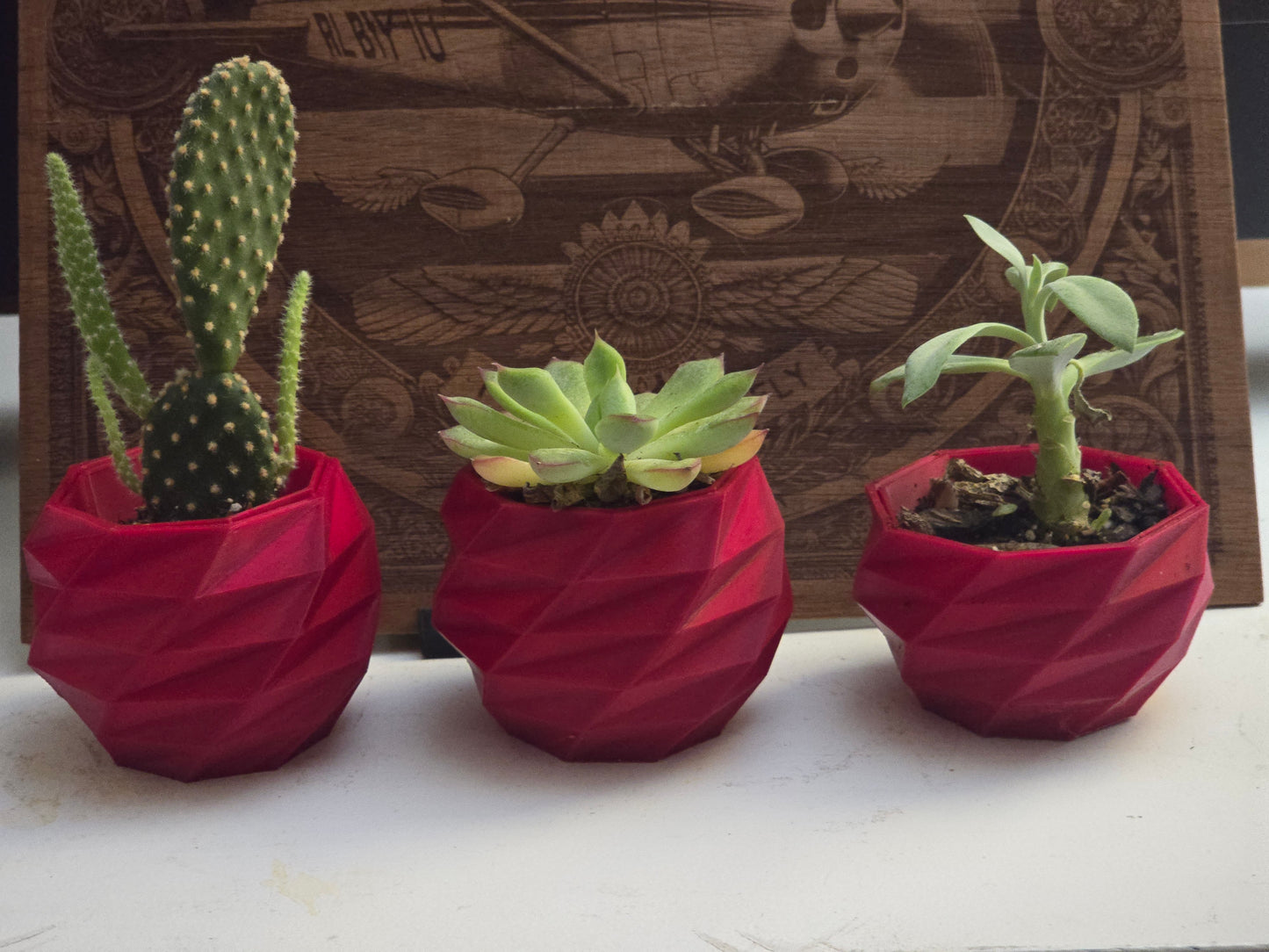 Geometric 3D Printed Planter – Modern Mini Pot for Succulents & Cactus | PLA Eco-Friendly | Bold Colors. Plants it's Not included.